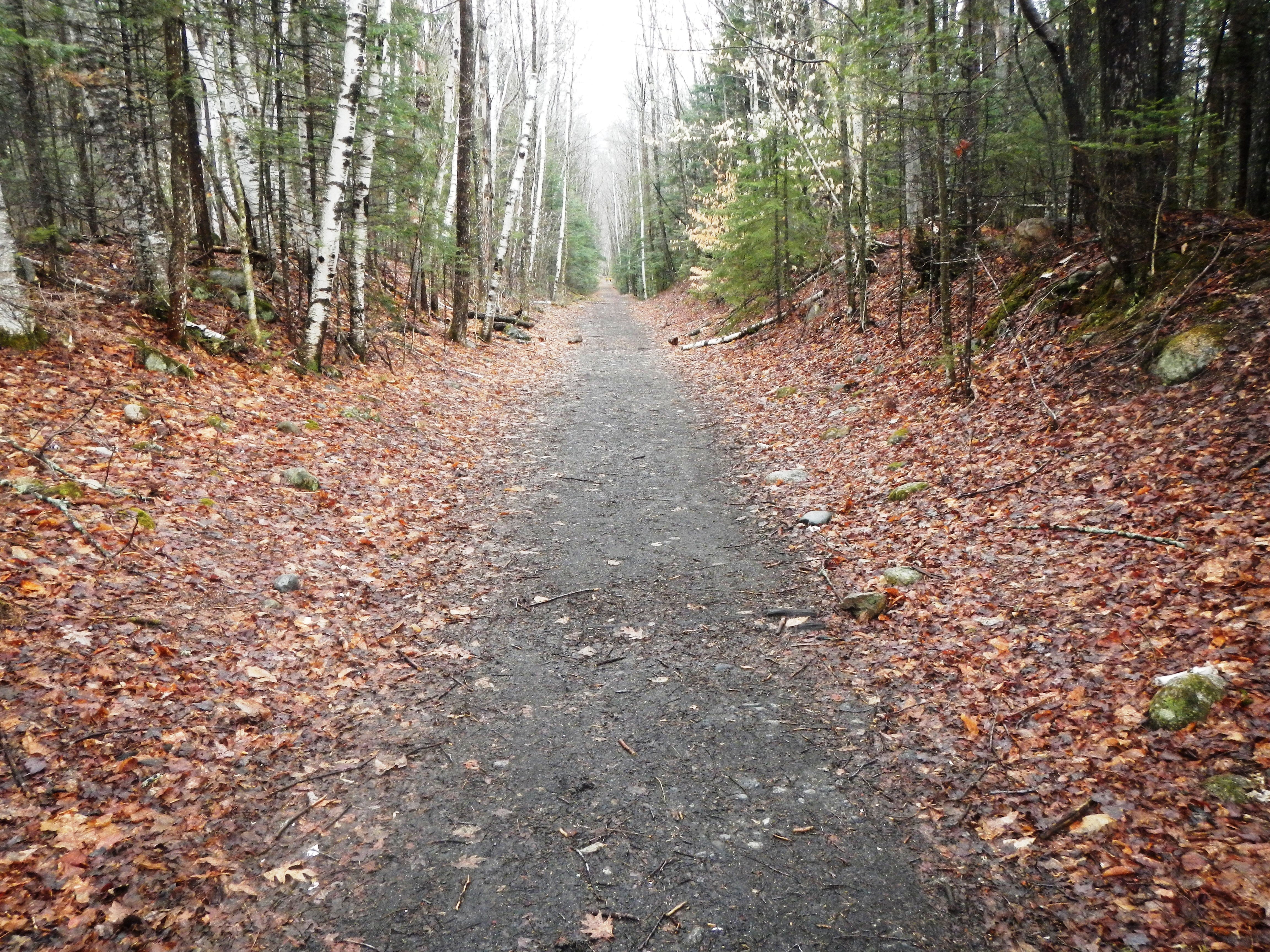 Lincoln Woods Trail